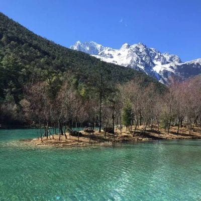 Phạm Ngọc Giàu avatar