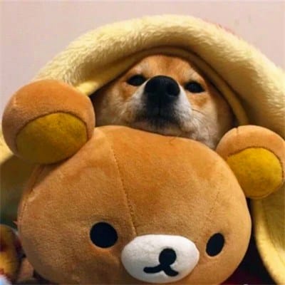 Trần Phương Thảo avatar